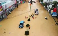 91 người chết, 11 người mất tích, hơn 200.000 căn nhà bị ngập do mưa lũ