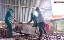 Trưởng thôn, dân quân, công an xã: Những “lá chắn tại chỗ” cứu hàng chục nghìn dân trong lũ dữ