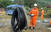 Khánh Hòa: Cơ bản khôi phục điện, nước, viễn thông, đẩy nhanh tái thiết sau mưa lũ