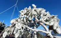 Băng giá phủ trắng đỉnh Fansipan (Lào Cai)