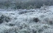 Sương muối, băng tuyết xuất hiện ở nhiều khu vực vùng cao Lào Cai