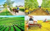 Kiện toàn thành viên BCĐ Trung ương các chương trình mục tiêu quốc gia 2021-2025