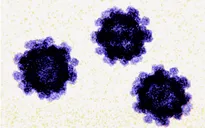 Số ca nhiễm Norovirus ở Mỹ tăng gấp 2 lần