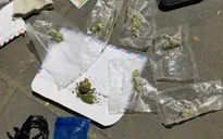 Thanh niên điều khiển xe không biển số, giấu trong người 7 túi cần sa