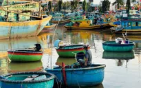 Lâm Đồng: Di dời khẩn cấp 40 ngôi mộ nguy cơ sạt lở trước bão số 15