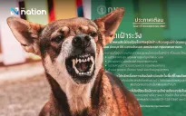 Thủ đô Bangkok (Thái Lan) công bố khu vực kiểm soát bệnh dại