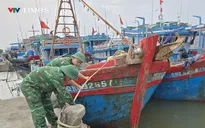 Ứng phó bão số 15: Hơn 360 tàu thuyền đã được hướng dẫn neo đậu an toàn