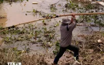 Lâm Đồng dự kiến đến 30/11 khắc phục cơ bản hậu quả thiên tai