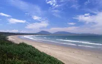 Du khách tử vong do cá mập tấn công tại bờ biển Australia