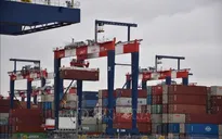 EU triển khai các biện pháp thuế quan theo Tuyên bố chung với Mỹ