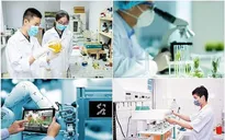 Thành lập Tổ Giúp việc của Thủ tướng Chính phủ về phát triển khoa học, công nghệ, đổi mới sáng tạo