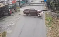 Tạm giữ đối tượng lái ô tô biển số giả, tông đổ xe cảnh sát giao thông rồi bỏ trốn