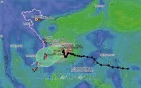 Bão số 15 liên tục đổi hướng, dự báo suy yếu dần