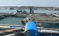Lâm Đồng: Hàng tấn hải sản nuôi lồng bè ở Phú Quý bị trôi ra biển sau bão số 15