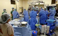 Nhật Bản ghi nhận số ca hiến tạng từ người chết não cao kỷ lục