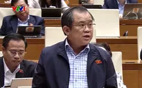 Cần có quy định cụ thể đối với hoạt động thăm dò, khai thác đất hiếm