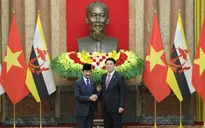 Tuyên bố chung Việt Nam - Brunei Darussalam