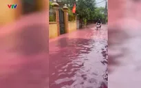 Hà Nội: Điểm nóng ô nhiễm ở Đông Ngạc bao giờ xử lý dứt điểm?