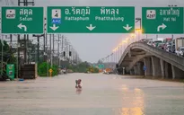 Chủ tịch nước, Thủ tướng gửi điện chia buồn về lũ lụt nghiêm trọng ở Thái Lan