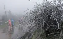 Miền Bắc chuẩn bị bước vào cao điểm rét đậm, rét hại, mùa đông năm nay khắc nghiệt