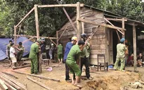 Thủ tướng yêu cầu báo cáo tiến độ “Chiến dịch Quang Trung” hằng tuần