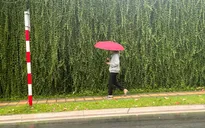 Không khí lạnh tăng cường, cảnh báo mưa lớn từ Quảng Trị đến Quảng Ngãi