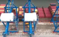 Việt Nam tham gia xây dựng báo cáo giám sát thương mại thường niên của WTO