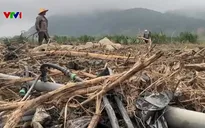 Lũ cuốn trôi đất sản xuất ở vùng rau lớn nhất nước