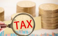 Đề xuất mức xử phạt hành vi trốn thuế trong lĩnh vực hải quan