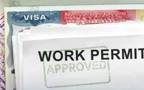 Mỹ giảm thời hạn giấy phép lao động cho người tị nạn xuống 18 tháng 