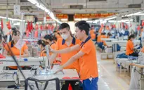 Hiệp định VIFTA: "Bộ lọc chất lượng" mở đường cho hàng Việt chinh phục Trung Đông