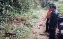 Lâm Đồng: Người dân giao nộp cá thể tê tê Java quý hiếm cho kiểm lâm Cát Tiên