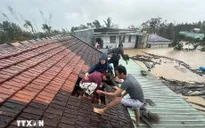 Gia Lai khẩn cấp xây dựng công trình, phương án bố trí ổn định dân cư vùng thiên tai