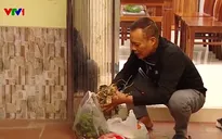 Phân loại rác tại nguồn: Giảm đáng kể lượng rác phải chôn lấp