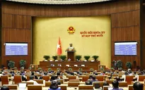 Quốc hội thảo luận loạt cơ chế đặc thù cho Hà Nội, TP Hồ Chí Minh, Đà Nẵng và ngân sách 2025