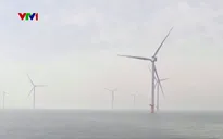 Lãng phí nguồn năng lượng từ điện gió ngoài khơi
