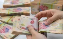 Không cung cấp thông tin tiền lương của người lao động bị phạt đến 16 triệu đồng