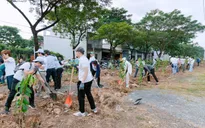 Hiện thực hóa Đề án phủ xanh đất trống
