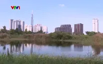 TP Hồ Chí Minh cần thay đổi tư duy để ứng phó với sụt lún