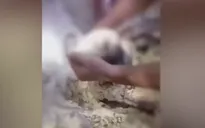 Kịp thời cứu sống bé gái sơ sinh bị vùi lấp trong lô cao su