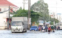 Triều cường nghiêm trọng tại ĐBSCL: Cần giải pháp chống ngập hiệu quả