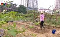 Gỡ vướng dự án công viên chậm tiến độ: Giải “cơn khát” không gian xanh cho Thủ đô