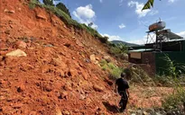 Lâm Đồng di dời nhiều hộ dân ra khỏi khu vực đồi thông 35 ha đang sạt lở