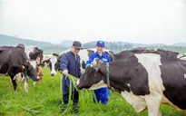 Thanh tra Chính phủ chỉ ra nhiều sai phạm tại 2 dự án ở Tuyên Quang