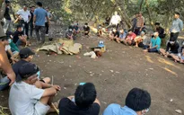 Đồng Nai: Triệt phá sòng bạc đá gà quy mô lớn, bắt giữ 32 đối tượng