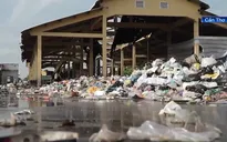 Bãi rác gần 10.000m2 gây ô nhiễm môi trường tại Cần Thơ