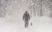 200 người chạy thoát thân khỏi trận bão tuyết kinh hoàng tại Nga