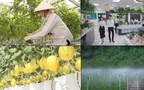 Nông nghiệp số không thể thiếu trong kỷ nguyên công nghệ 4.0