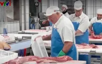 Trung Quốc áp thuế đối với thịt lợn của EU