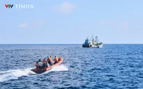 TP Hồ Chí Minh tăng tốc chống khai thác IUU, hướng tới gỡ “thẻ vàng”